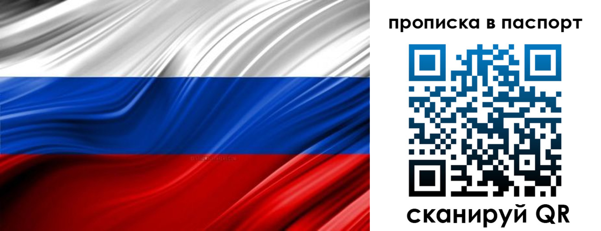 временная регистрация гарантия в Коле