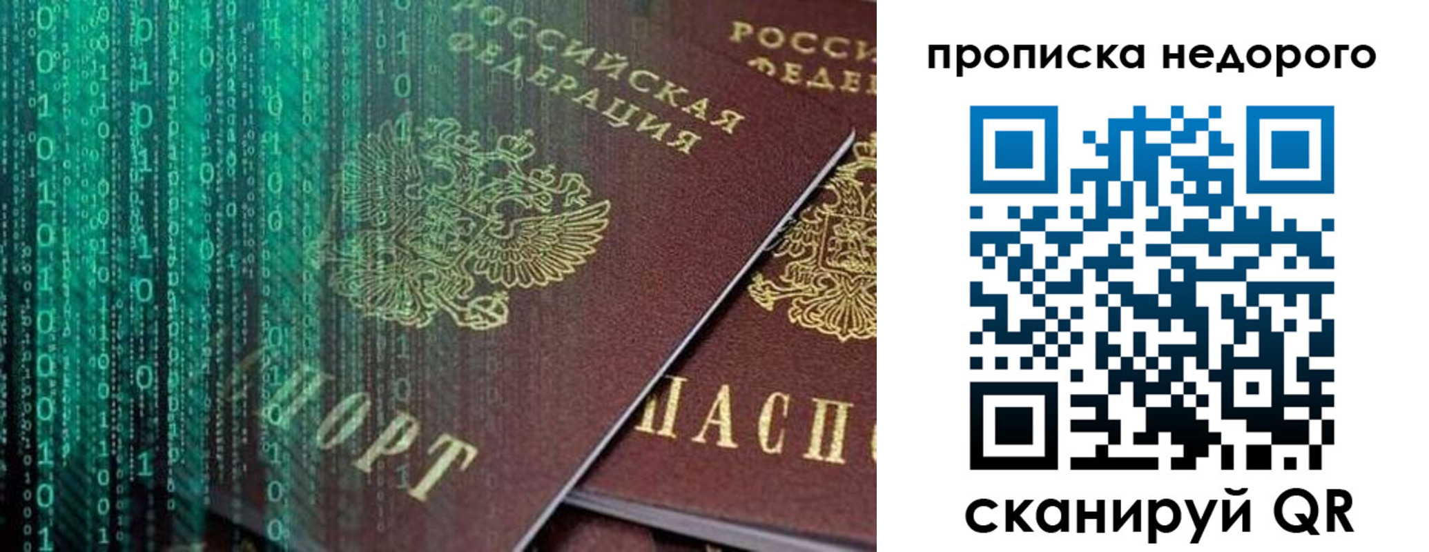 купить прописку в Коле