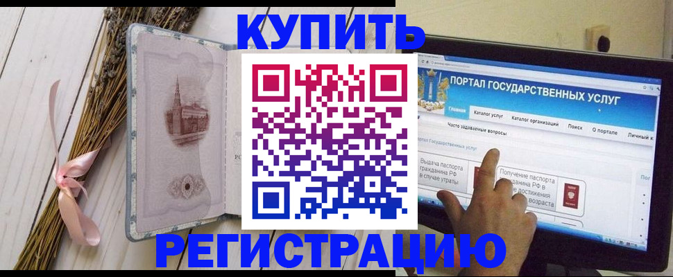 прописка поиск в Коле